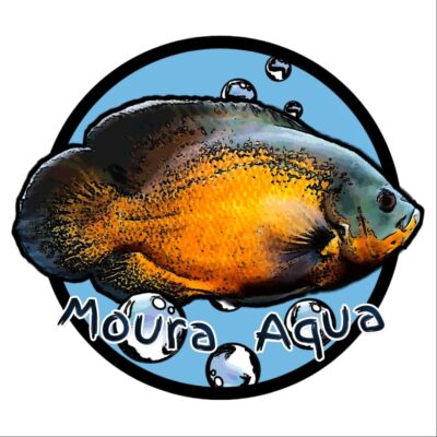 moura_andre@hotmail.com